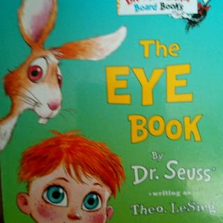 The eye book.