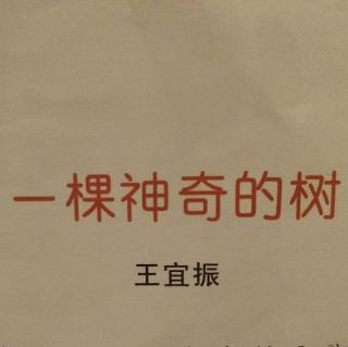 《想飞的企鹅波米》之一颗神奇的树