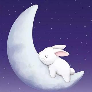 哄男朋友入睡《想吃月亮的小兔子》
