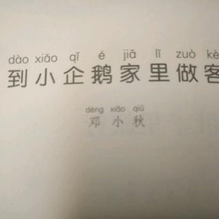 到小企鹅家里做客