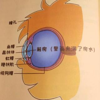 科学知识卡：不怕冷的眼睛