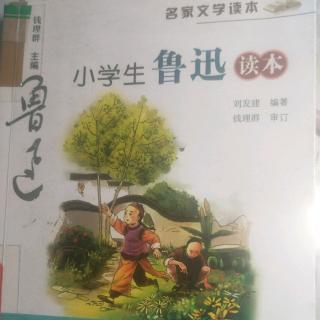 鲁迅读本---茅屋，狗，塔，村女