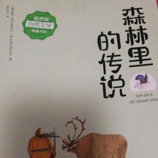 《森林里的传说》