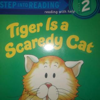 Tiger Is a Scaredy Cat-4