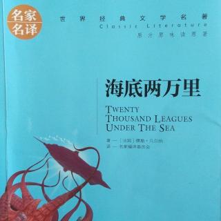 海底两万里 第三章