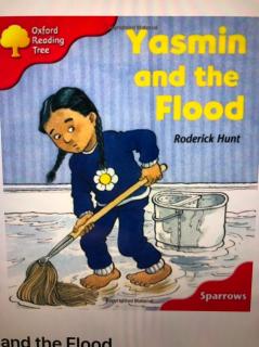 Yasmin and the Flood