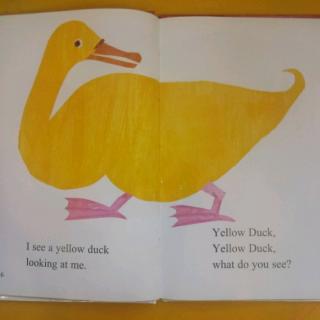 Yellow Duck, Yellow Duck, what do you see?