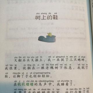 中国儿童文学名家名作：《树上的鞋》