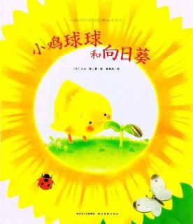 第39期《小鸡🐣球球和向日葵🌻》