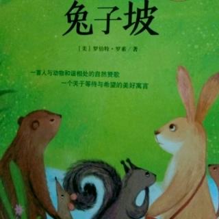 《兔子坡》，读后感一:我最喜欢的一本书——《兔子坡》