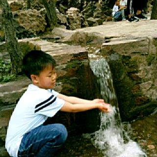 铺满金色巴掌的水泥道