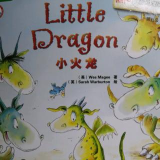 Little     Dragon