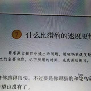 什么比猎豹的速度更快