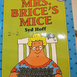MRS  BRICE MICE