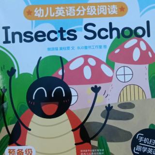 Insects school