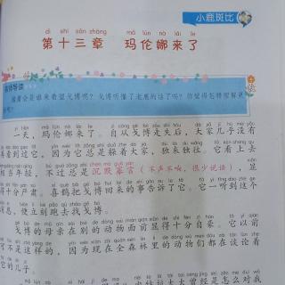 小鹿斑比《玛伦娜来了》