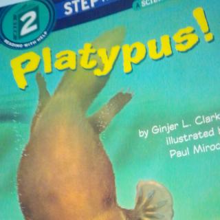 Platypus!