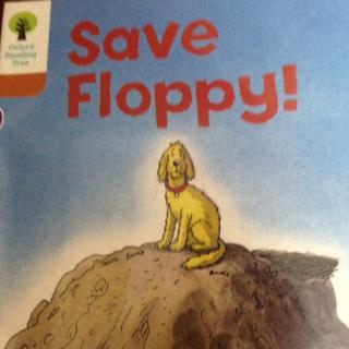 Save Floppy！