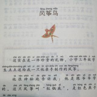 中国儿童文学名家名作：《风筝鸟》