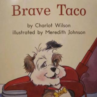 brave taco