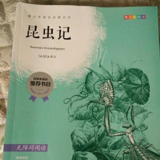 《昆虫记》