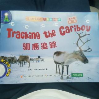 Tracking the Caribou 2