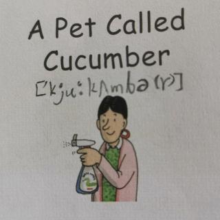 暑（40）4b-16 A Pet Called Cucumber
