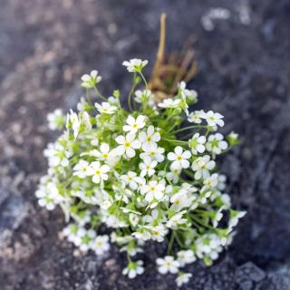 《我很重要》（节选）毕淑敏