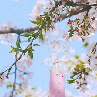 【日语歌朗读】桜色舞うころ