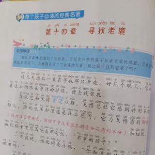 小鹿斑比《寻找老鹿》