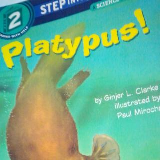 platypus!