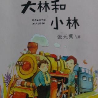 《大林和小林》  18.富翁岛