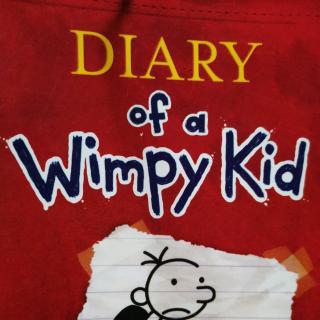 Diary of a Wimpy Kid 9
