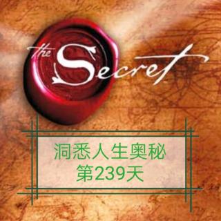 洞悉人生奥秘第239天