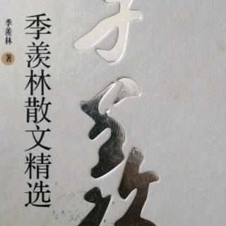 尼泊尔随笔——神牛