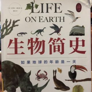 Life On Earth生物简史 如果地球的年龄是一天