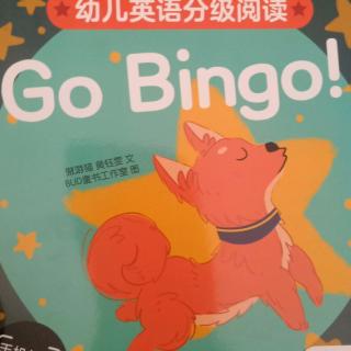 Go Bingo !