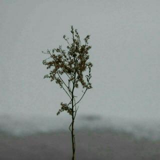 亦是此间少年(demo)