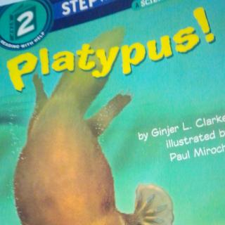 Platypus!