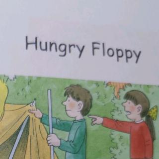 暑（45） 4b-21 Hungry Floppy