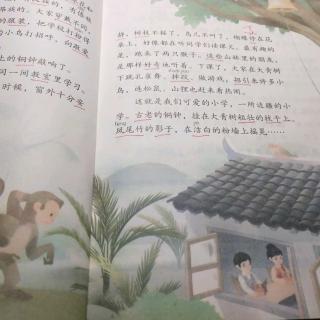 大青树下的小学