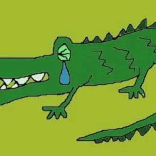 睡前故事:《鳄鱼的眼泪》