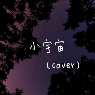 小宇宙[cover]