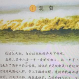 王宗海《观潮》