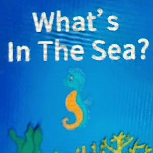 睡前故事-What's In The Sea？