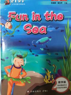 Fun in the sea