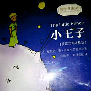 《小王子》第十四章  英文版