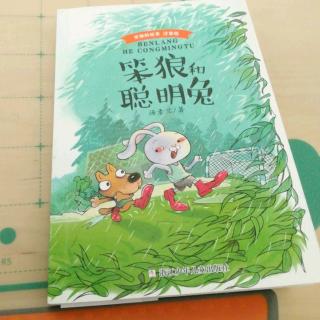 第348天《笨狼找宝藏》