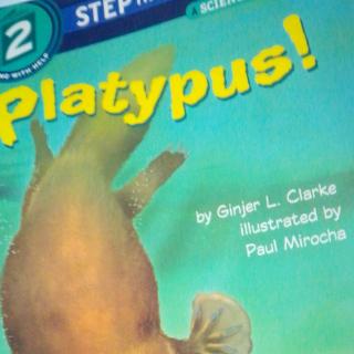 Platypus!