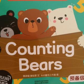 counting bears